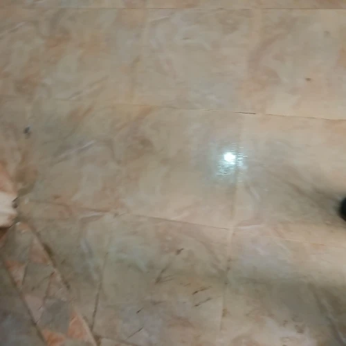 Vente Appartement F4 Mostaganem Mostaganem