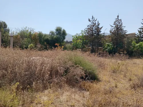 Vente Terrain Blida Ain romana