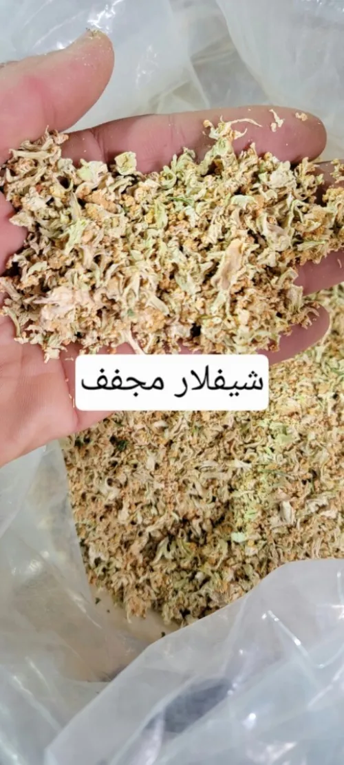 خضر فواكه و اعشاب مجففة