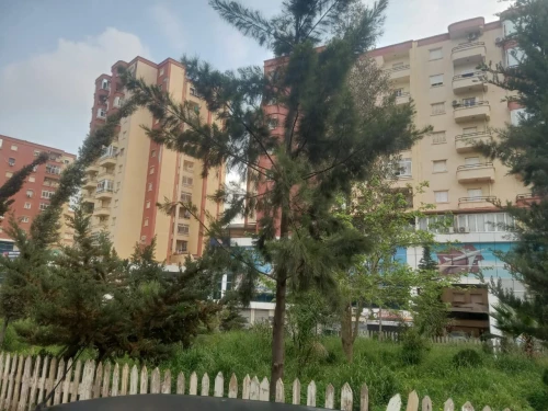 Vente Appartement F3 Alger Birkhadem