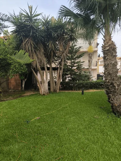 Location Villa Alger Hydra