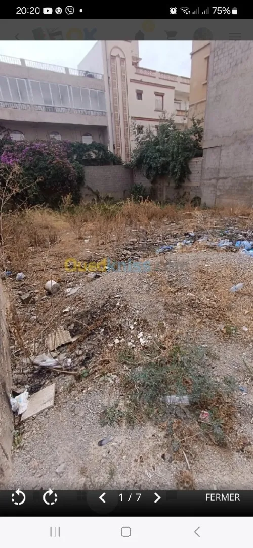 Vente Terrain Constantine Ain smara