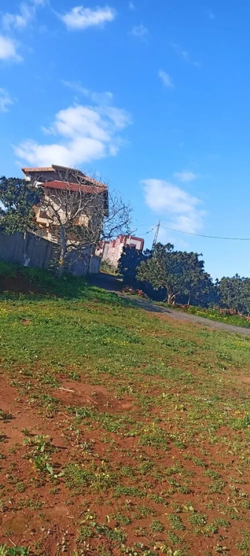 Vente Terrain Tipaza Kolea