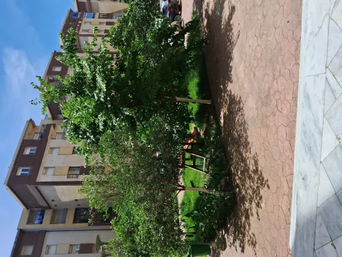 Vente Appartement F3 Alger Bordj el kiffan