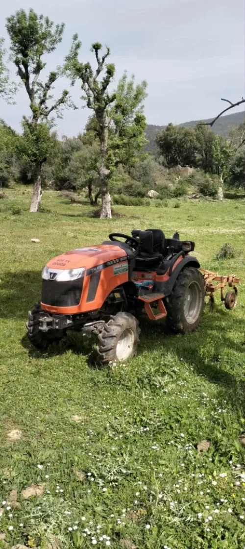 Tracteur Tafe 2024
