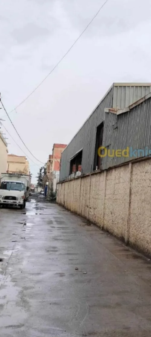 Location Hangar Blida Meftah