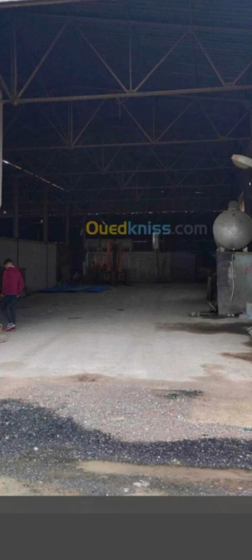 Location Hangar Blida Meftah