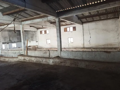 Vente Hangar Skikda Hamadi krouma