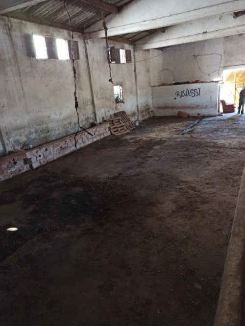 Vente Hangar Skikda Hamadi krouma