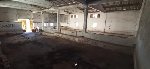 Vente Hangar Skikda Hamadi krouma