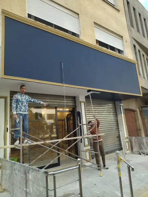 Penture profisionel façade