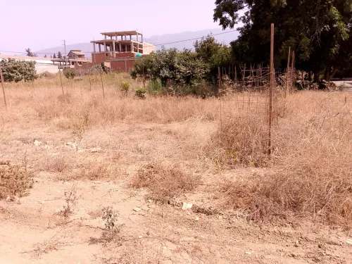 Vente Terrain Blida Guerrouaou