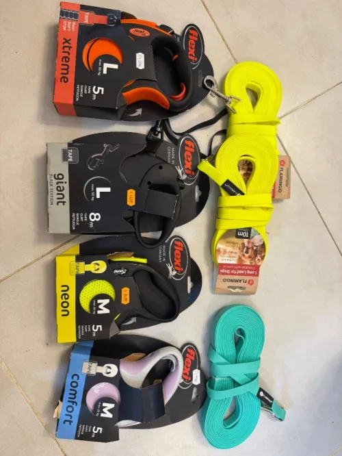 accessoires pour chien