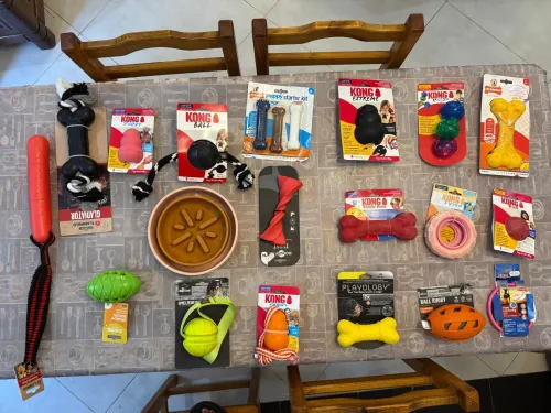 accessoires pour chien