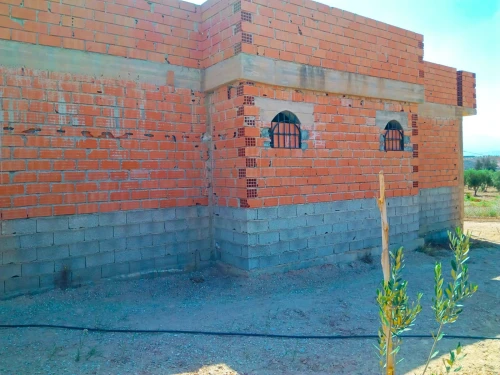 Vente Terrain Agricole Tlemcen Marsa ben mhidi