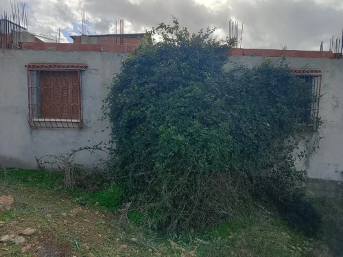 Vente Villa Boumerdès Zemmouri