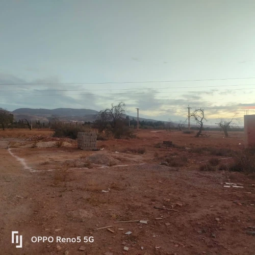 Vente Terrain Tlemcen Nedroma