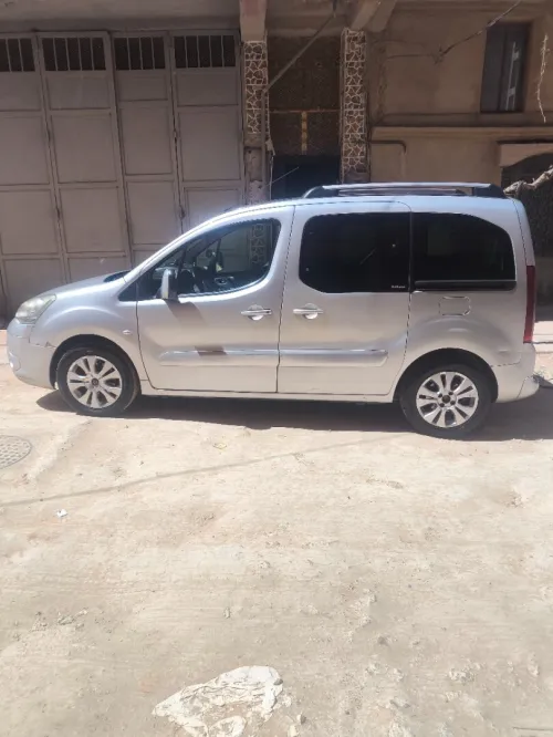 Citroen Berlingo 2010 Berlingo
