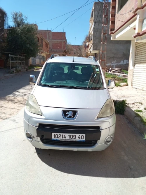 Peugeot Partner 2009 Tepee