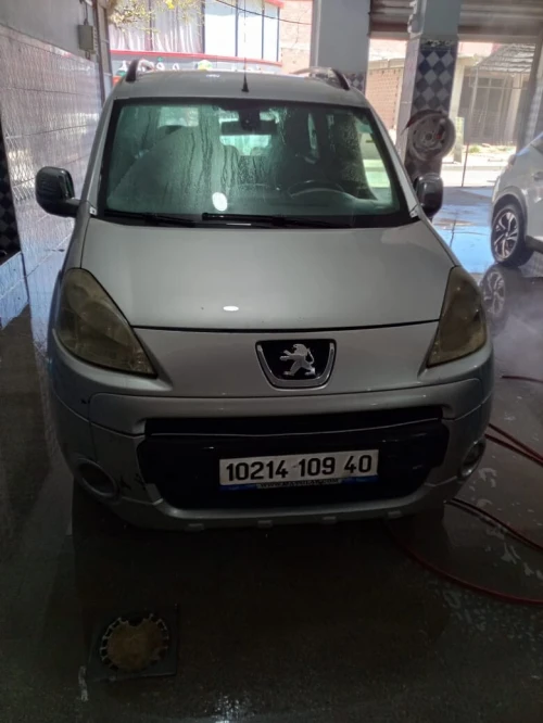 Peugeot Partner 2009 Tepee