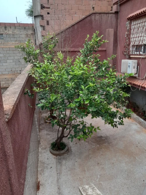 Vente Villa Alger Khraissia