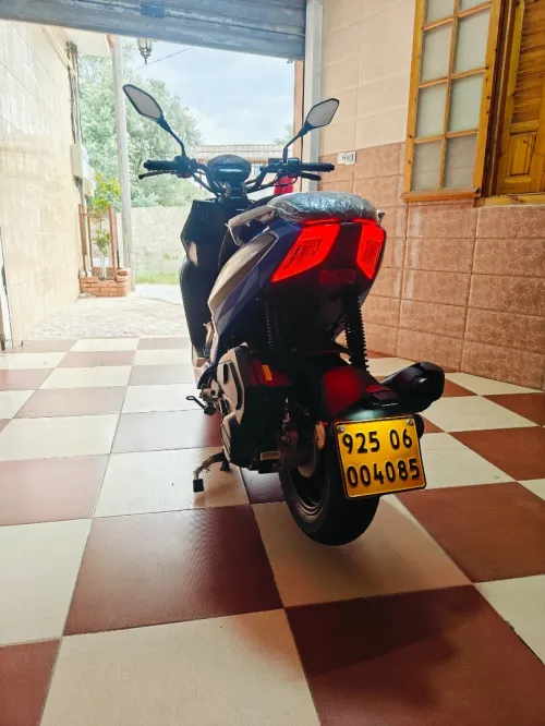 Lifan Frascoli 2025