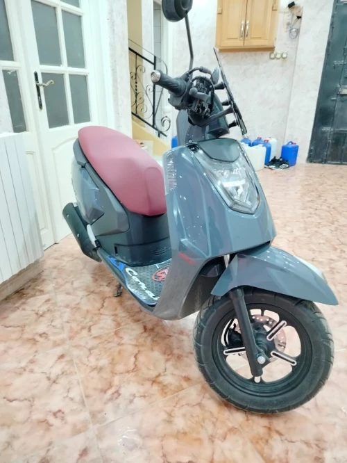 VMS Gemma 2025