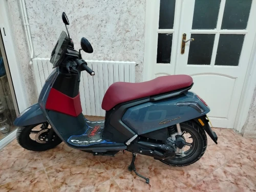 VMS Gemma 2025