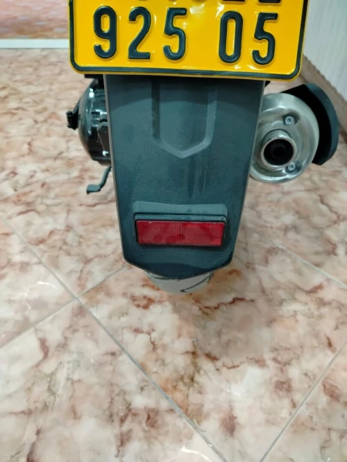 VMS Gemma 2025