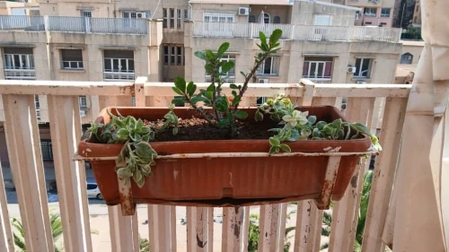 Location Appartement F7 Alger Hydra