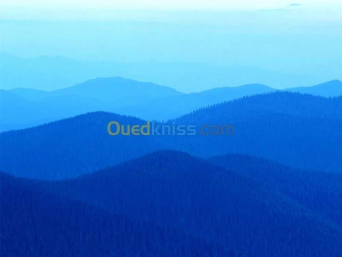 enseignante  espagnol et français 