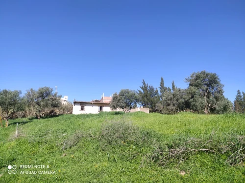 Vente Terrain Bouira Aomar