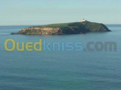 Location Bungalow Ain temouchent Beni saf