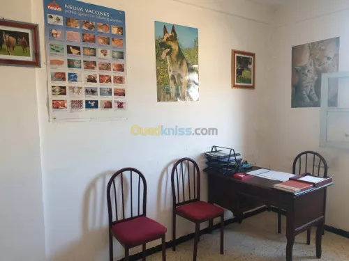 Médecin vétérinaire