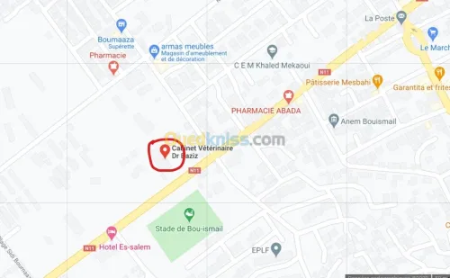 Médecin vétérinaire