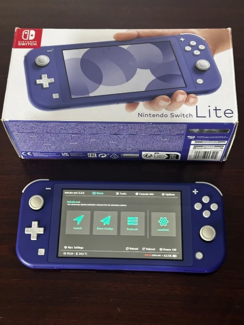 Nintendo Switch Lite Flashé