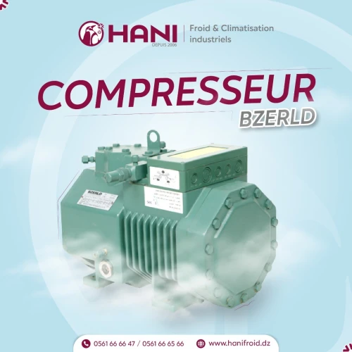 COMPRESEUR BZERLD 