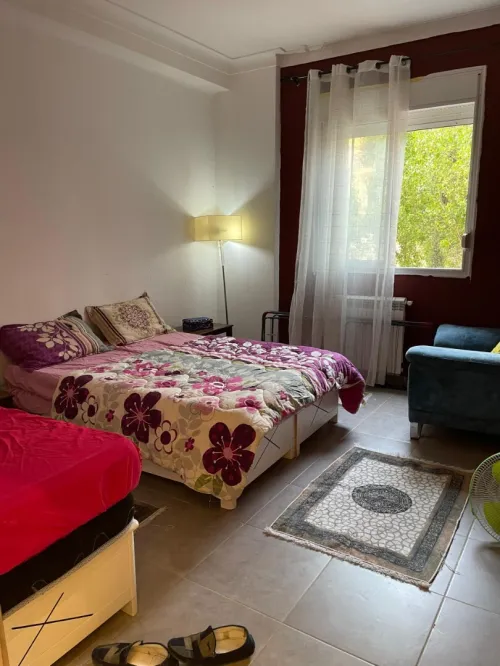 Vente Appartement F3 Alger Dely brahim