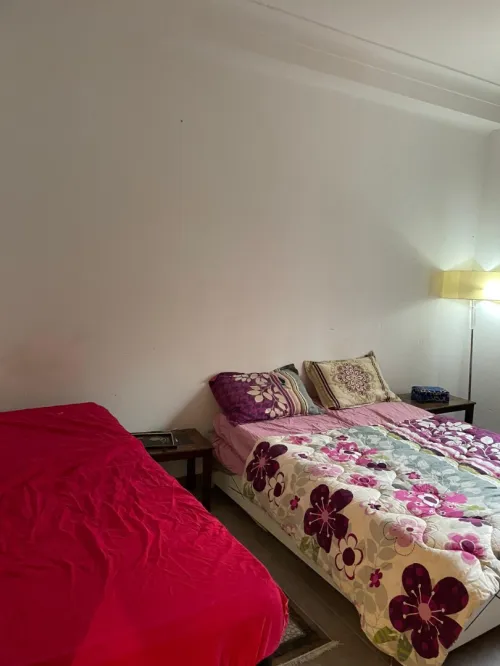 Vente Appartement F3 Alger Dely brahim