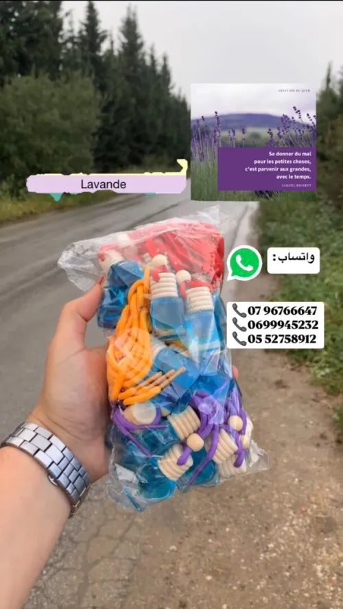 Vente désodorisant de voiture 