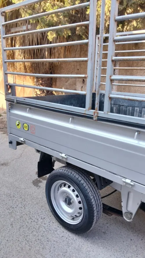 DFSK MINI TRUCK 2024 2.30