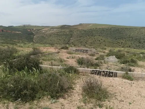 Vente Terrain Tlemcen Marsa ben mhidi