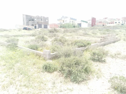 Vente Terrain Tlemcen Marsa ben mhidi