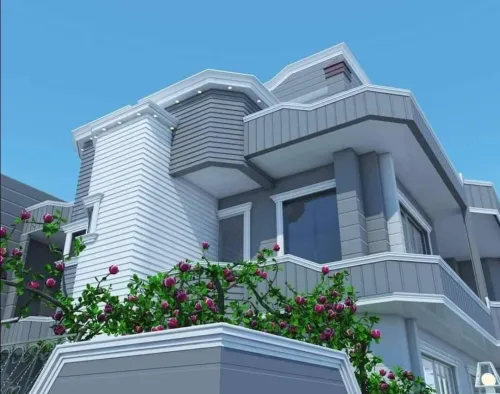 Décoration et protection des façades 