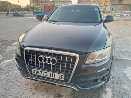 Audi Q5 2011 Off Road