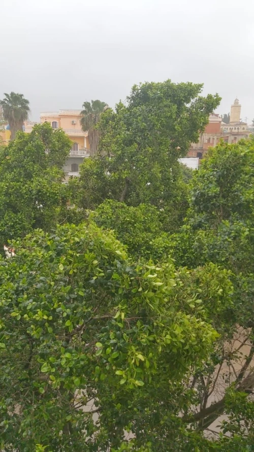 Vente Immeuble Tipaza Hadjout