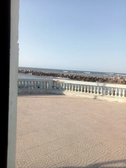 Vente Bungalow Tipaza Douaouda