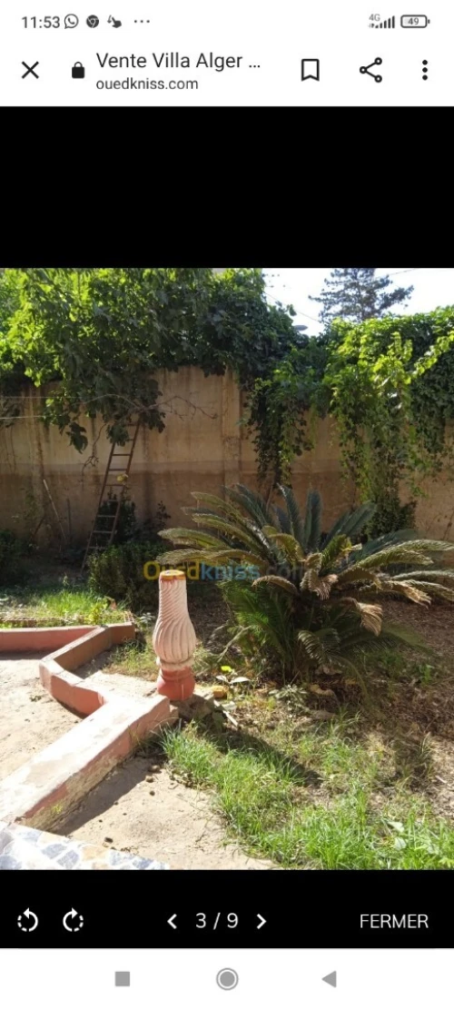 Vente Villa Alger Birtouta