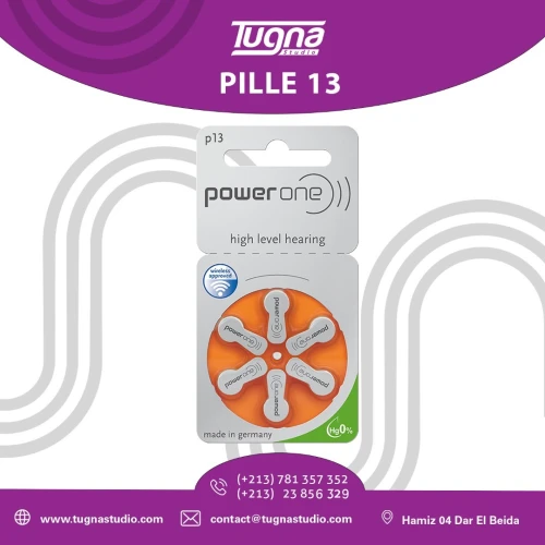  Piles Power One P13 