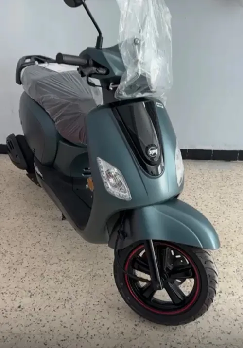 Sym Fiddle 2025